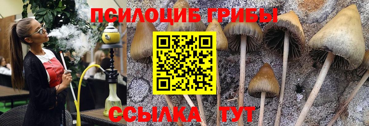 купить   Вход с VPN  Донской  Псилоцибиновые грибы Psilocybe  Галлюциногенные грибы мухоморы 