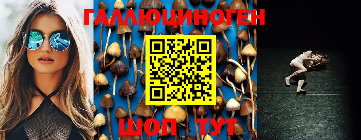 Галлюциногенные грибы Psilocybe Донской